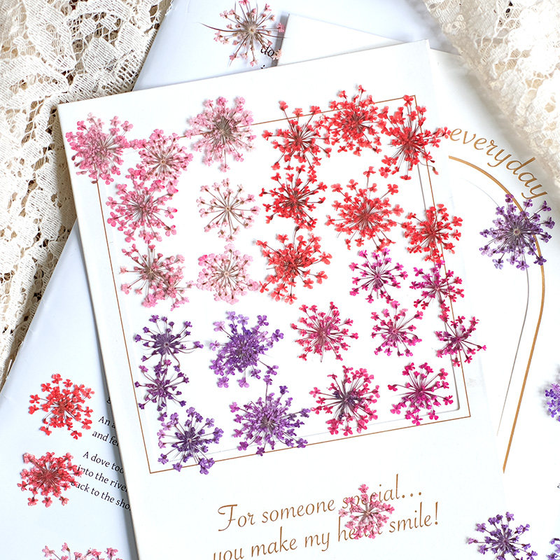 Resin Art Photo Frame - 24 Pezzi, 2-2,5 cm, Petali di