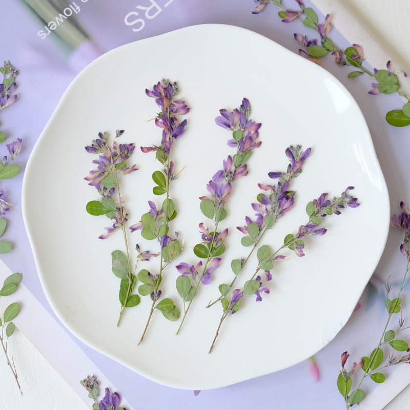 6 Pezzi, Fiori Essiccati e Pre - Resin Art Photo Frame recensione e prezzo