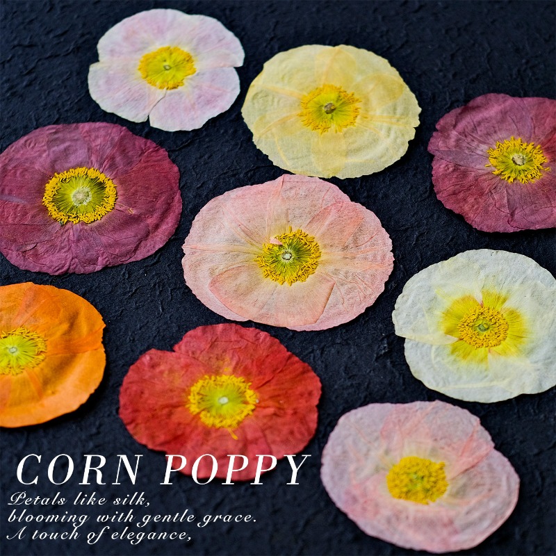 1 pz, Fiori di Papavero Natura - Resin Art Photo Frame recensione e prezzo