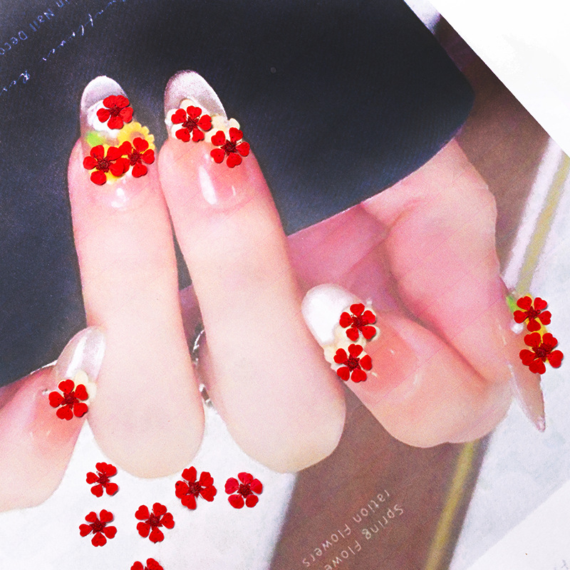 96 Pezzi Mini Fiori Pressati N - Resin Art Photo Frame recensione e prezzo