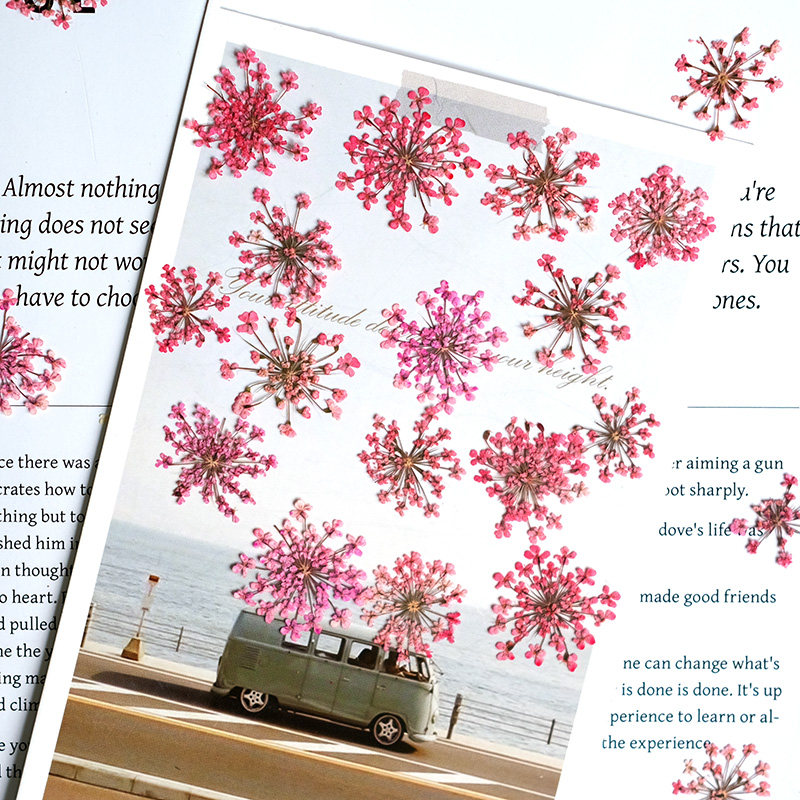 24 Pezzi, 2-2,5 cm, Petali di  - Resin Art Photo Frame recensione e prezzo