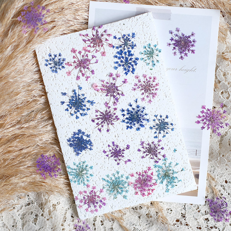 24 Pezzi, 2-2,5 cm, Petali di  - Resin Art Photo Frame recensione e prezzo